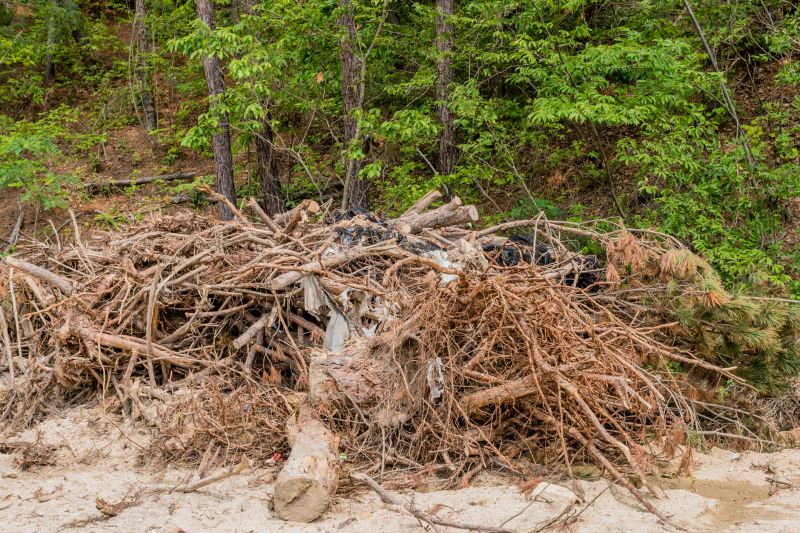 Disposal of Tree Debris