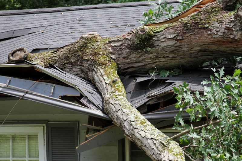 Storm-Damaged Tree Removal