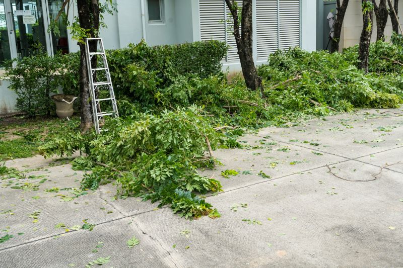 Post-Removal Cleanup