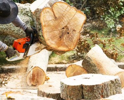 Land Clearing